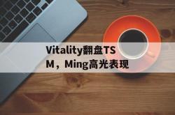 爱游戏在线-Vitality翻盘TSM，Ming高光表现的简单介绍