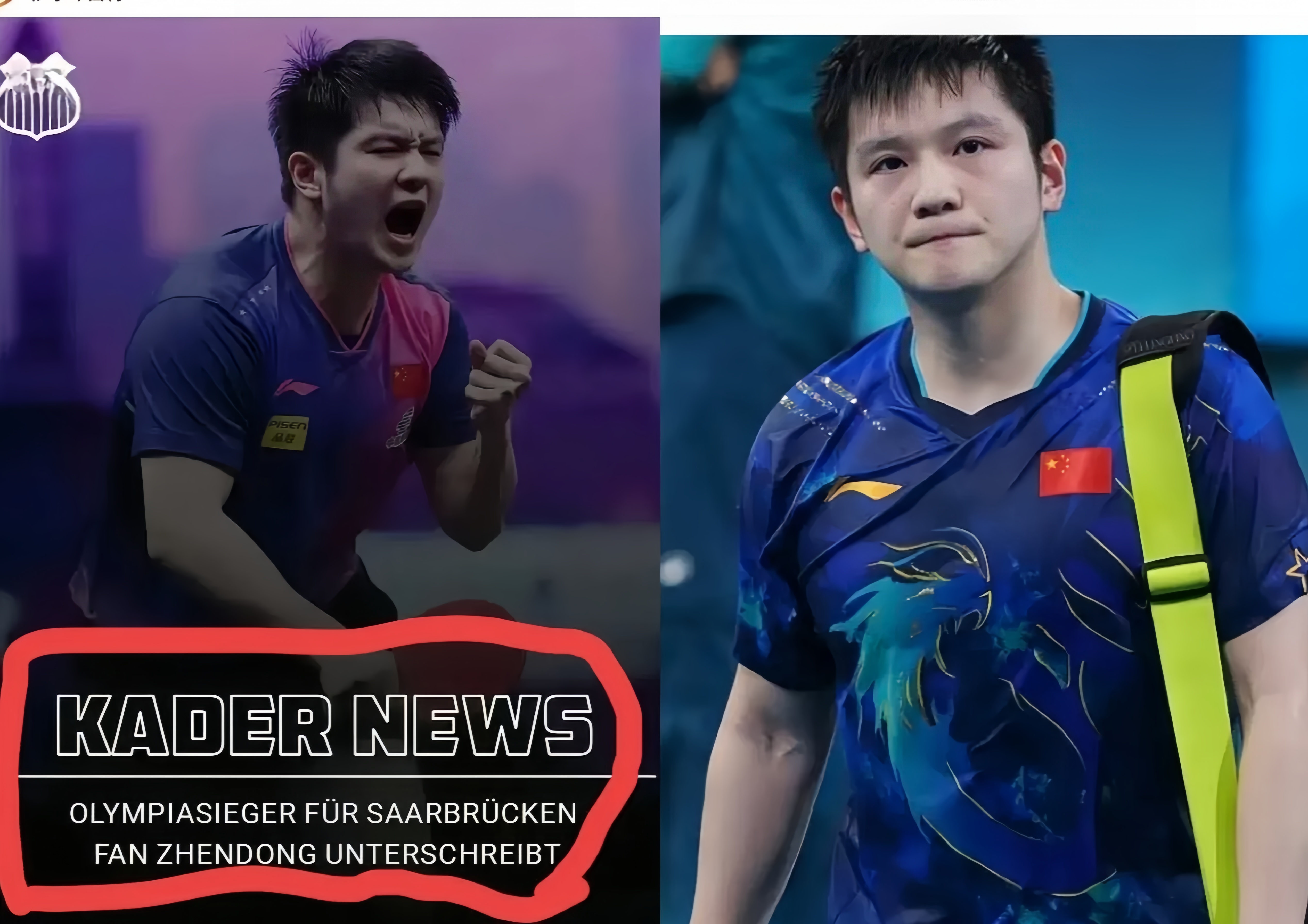 德国队轻取瑞典队，樊振东带队取胜