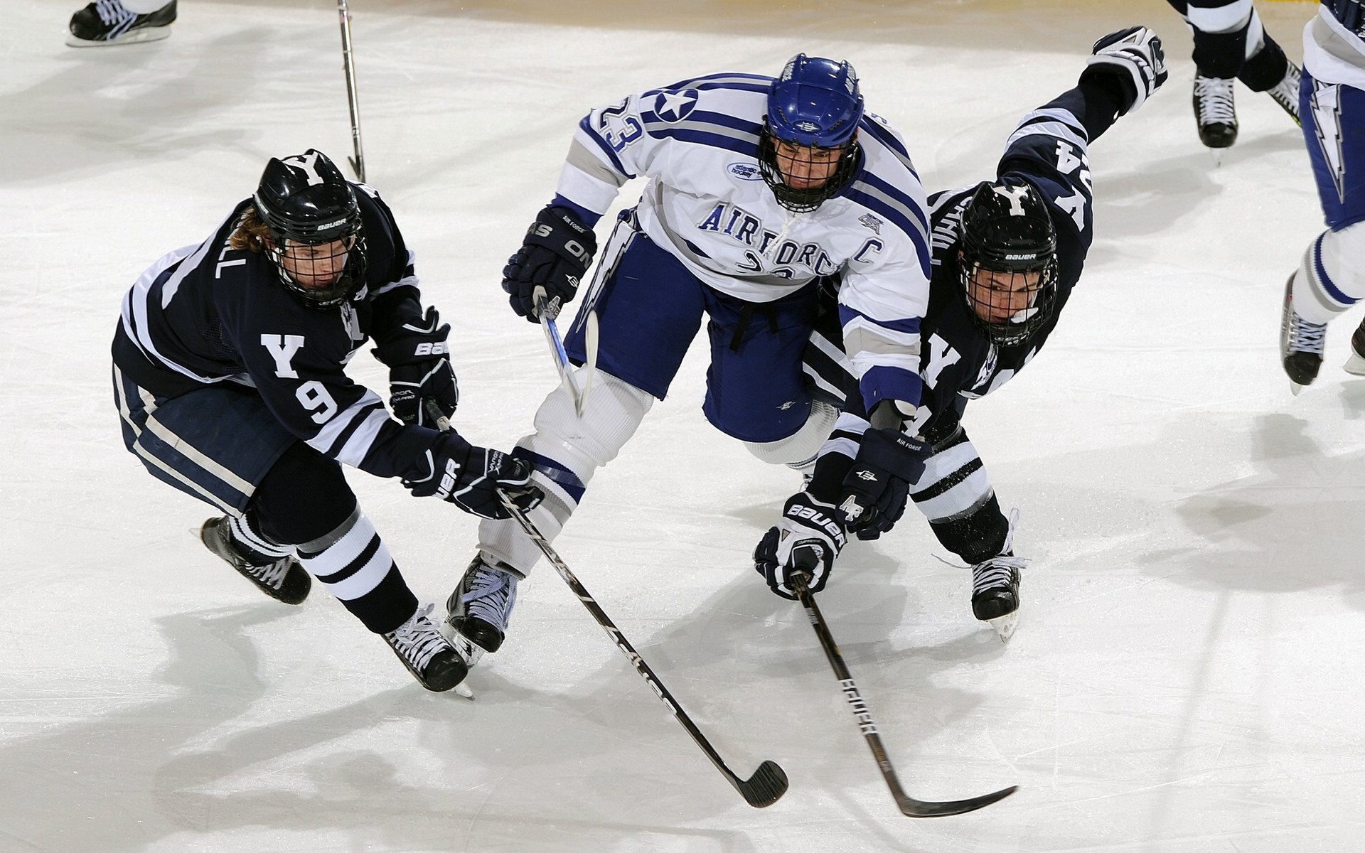 王权与羽翼的史诗对决，文班亚马高能风暴席卷鹈鹕巢穴