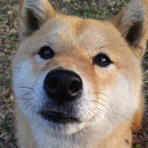 勇士最后时刻击败雄鹿,一场定义赛季的年度焦点之战