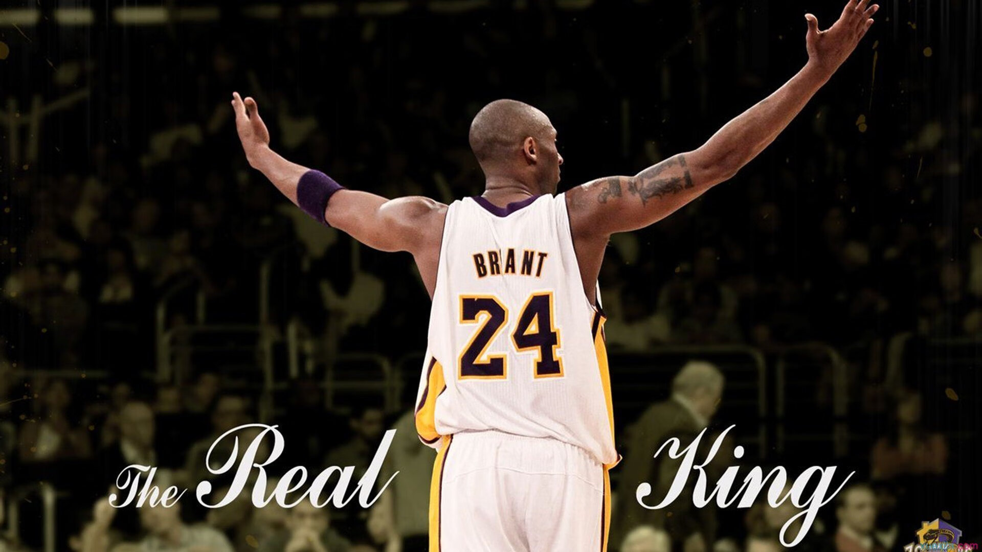 从摩洛哥到2026,奥利维耶的蜕变与连续压制美学的全球启示