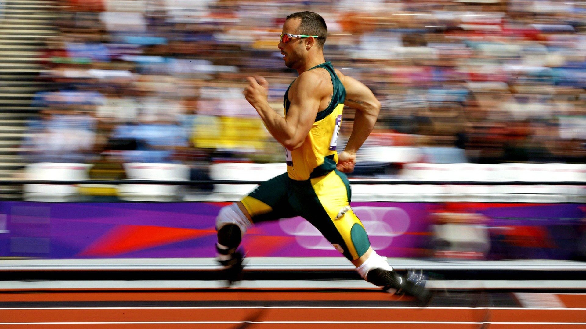 绿茵场上的坚韧与羽球场上的灵动,体育精神的双重奏